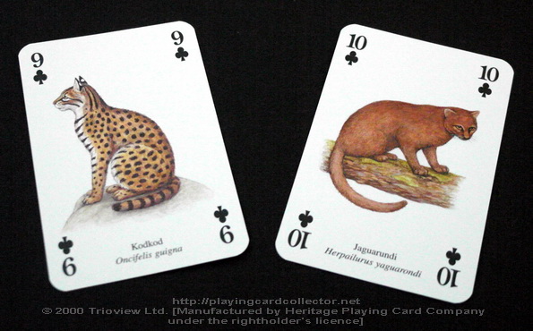 Wild-Cats-Playing-Cards-Clubs-9-10